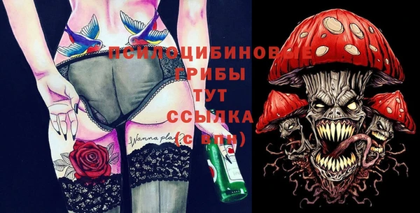 Альфа ПВП Абаза