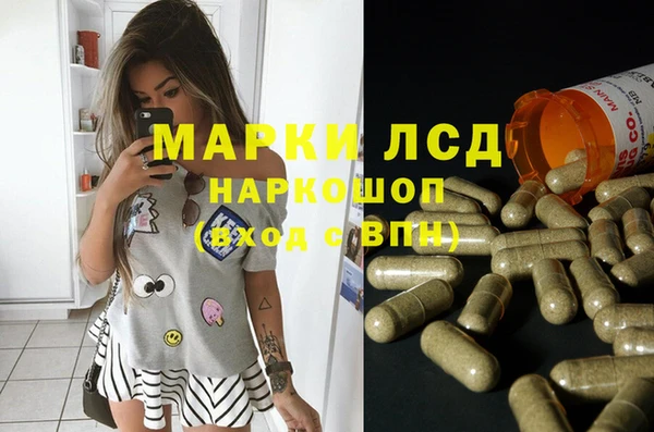 дмт Алзамай