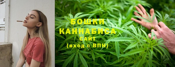 PSILOCYBIN Покровск