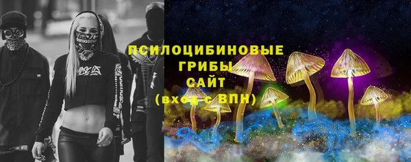 дмт Алзамай