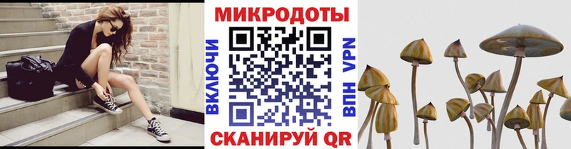 Псилоцибиновые грибы Psilocybine cubensis  где продают   Протвино 